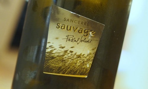 Rượu vang Pháp Pascal Jolivet Sauvage Sancerre