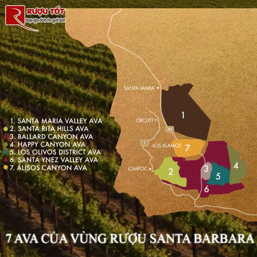 7 ava cua vung ruou santa barbara