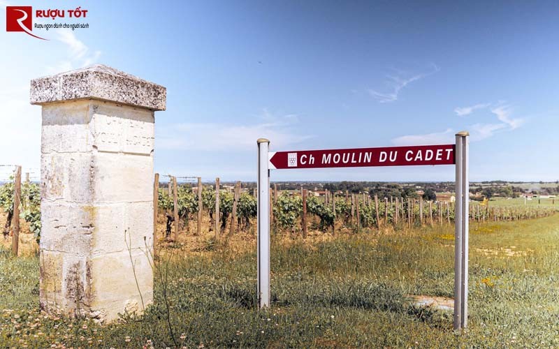 Chateau Moulin Du Cadet