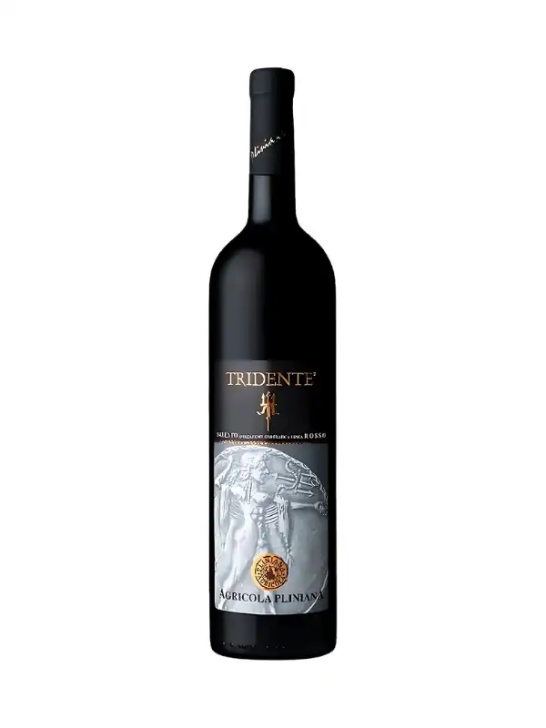 Rượu vang Ý Tridente Salento Rosso IGP