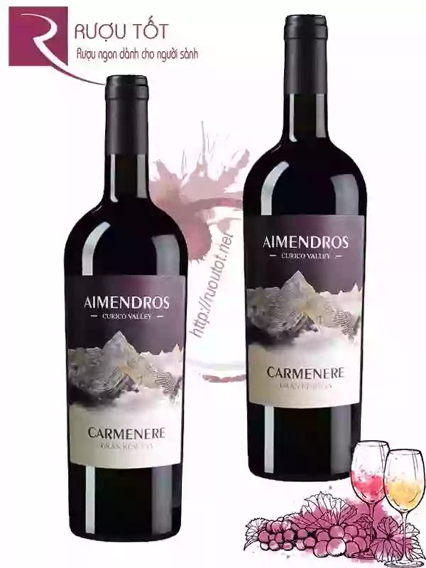 Rượu Vang Aimendros Carmenere Gran Reserva