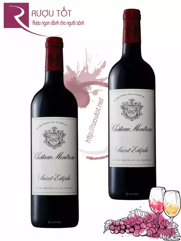 Rượu Vang Chateau Montrose Saint Estephe Thượng hạng