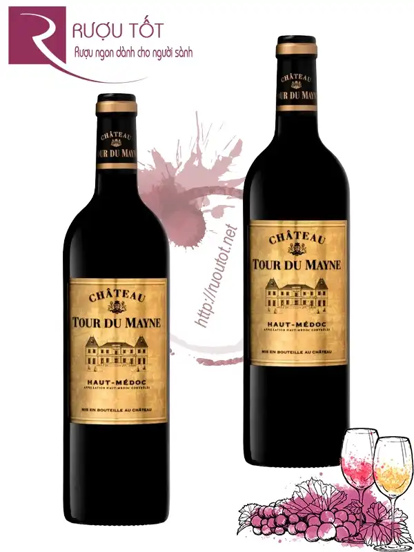 Rượu vang Pháp Chateau Tour de Mayne