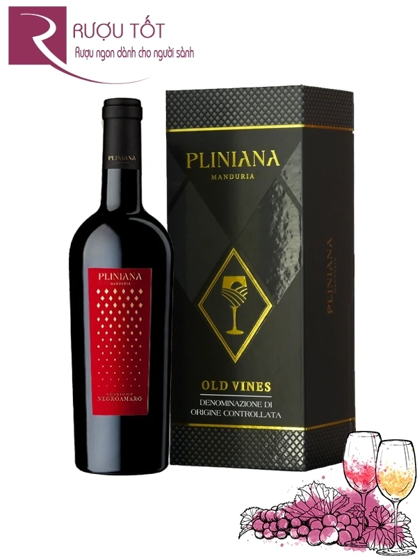 Hộp quà Tết rượu vang Pliniana Negroamaro IGT