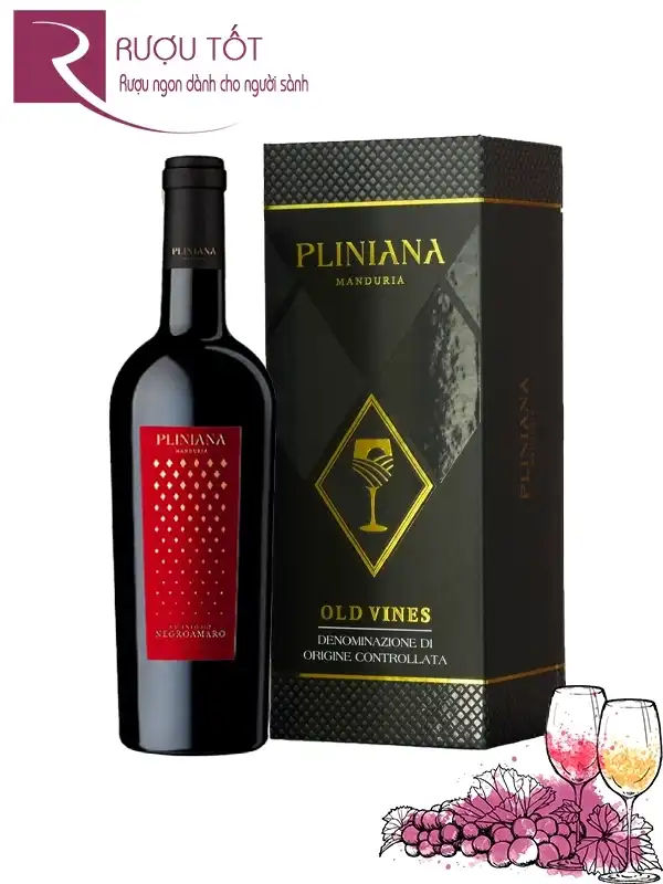 Hộp quà Tết rượu vang Pliniana Negroamaro IGT