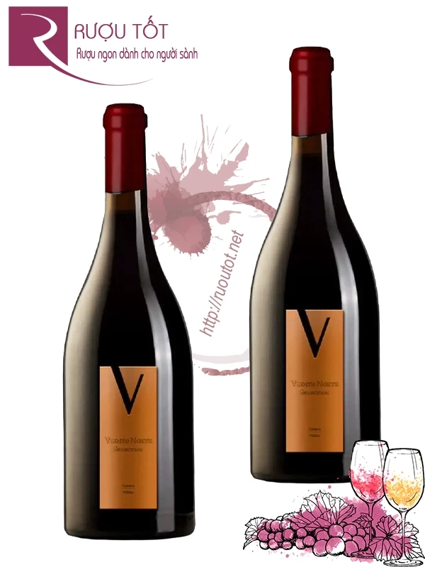 Rượu vang Chile Viento Norte Limited Edition