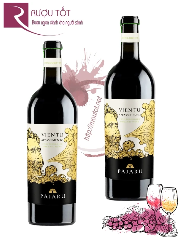 Rượu vang Ý Vientu Appassimento Pajaru 16 độ