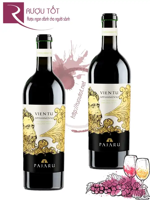 Rượu vang Ý Vientu Appassimento Pajaru 16 độ