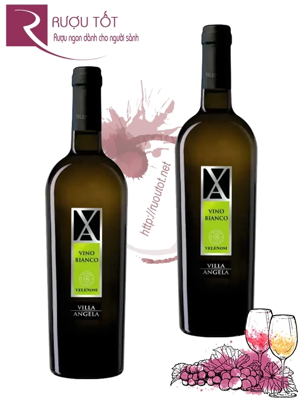 Rượu Vang Villa Angela X Rosso Bianco Chính hãng