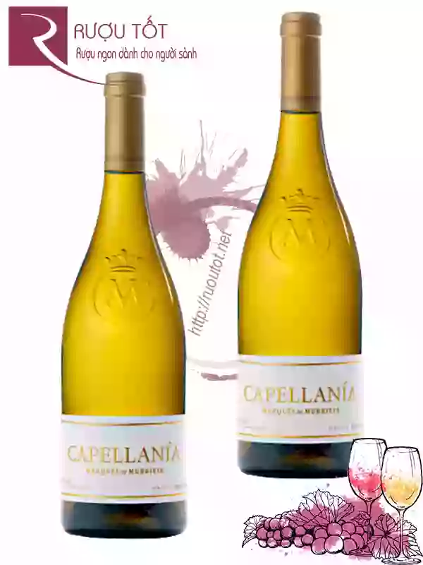 Rượu Vang Capellania Marques De Murrieta
