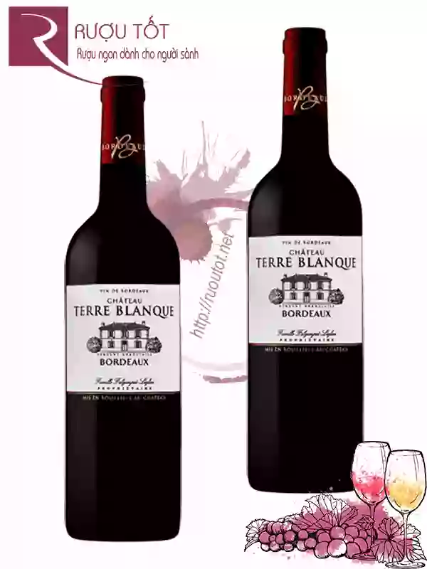 Rượu vang Pháp Chateau Terre Blanque Bordeaux Red