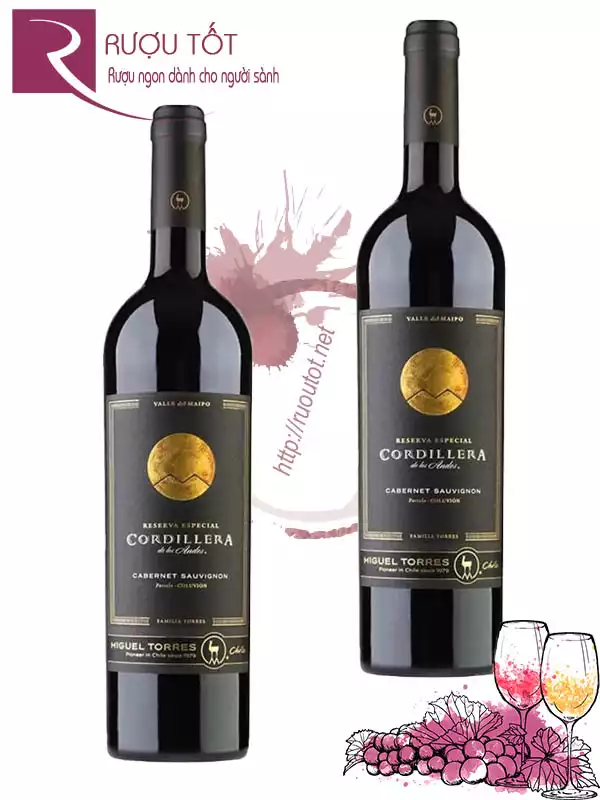 Vang Chile Cordillera Cabernet Sauvignon Reserva Especial Cao Cấp