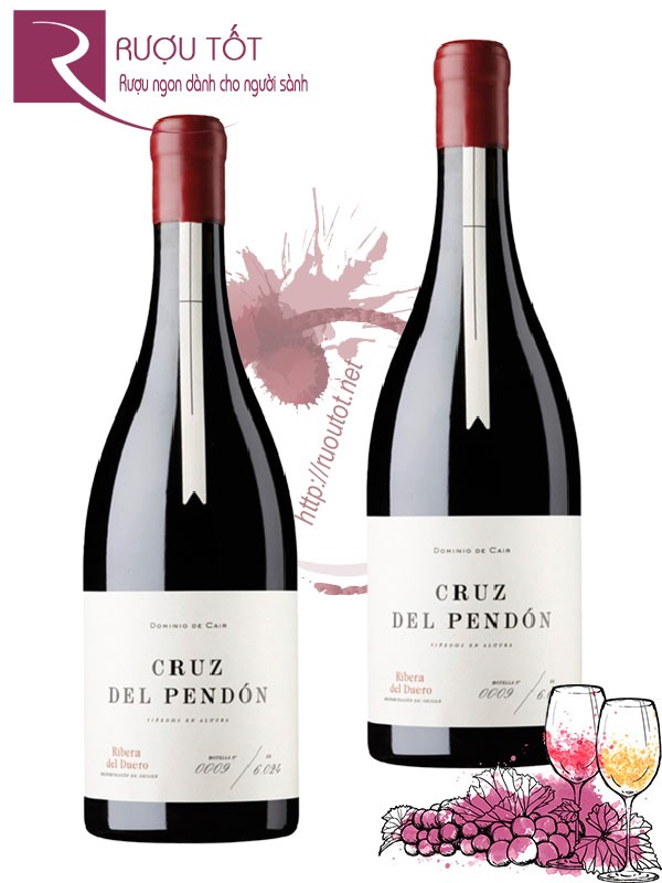 Rượu Vang Cruz del Pendon