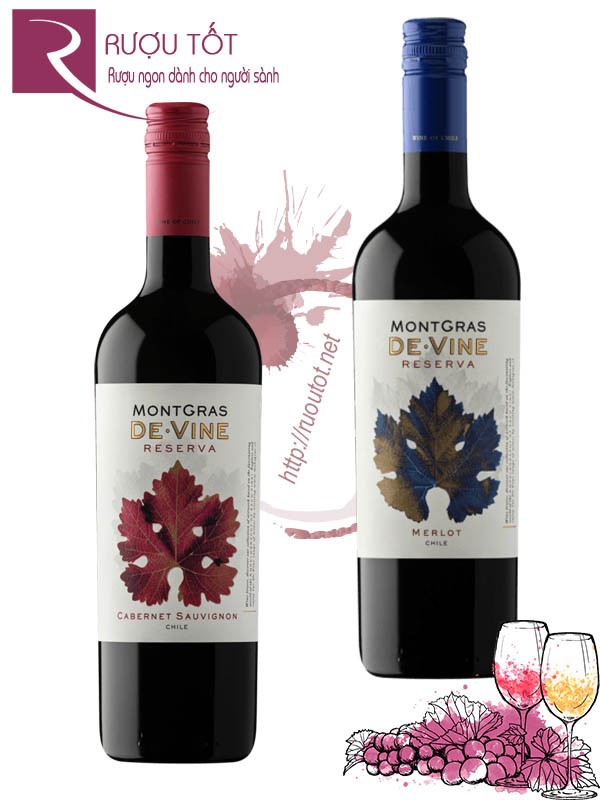 Rượu Vang MontGras Reserva Cabernet Sauvignon Merlot