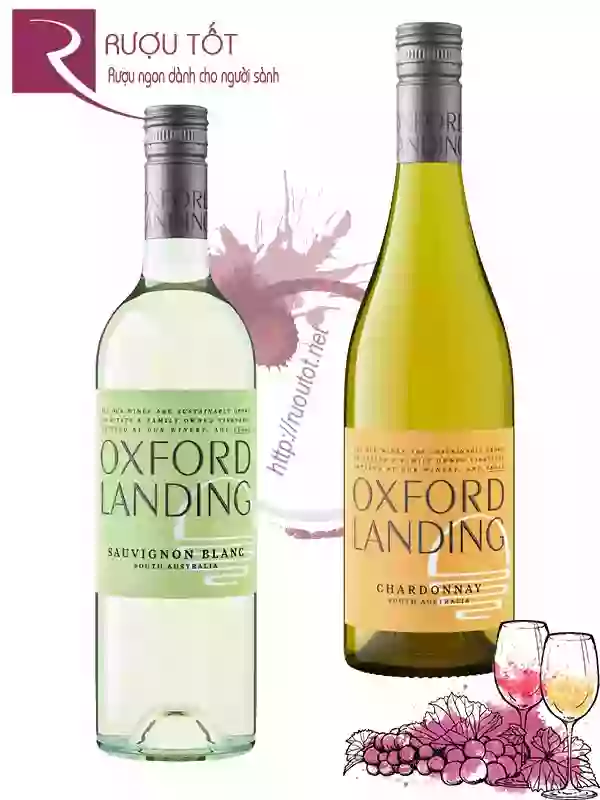 Rượu Vang Oxford Landing Sauvignon Blanc - Chardonnay