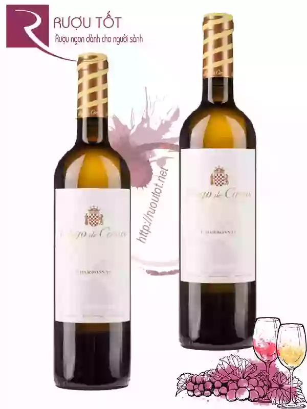 Rượu Vang Pago de Cirsus Chardonnay