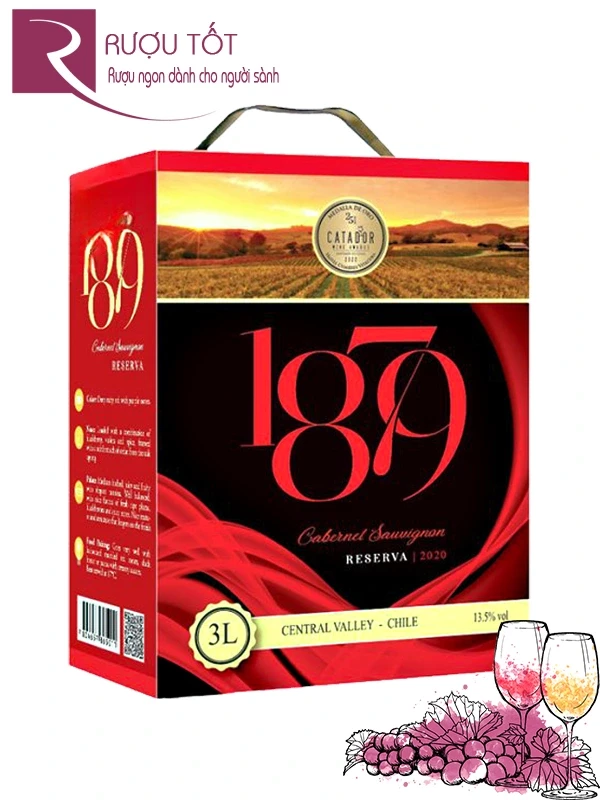 Vang Bịch 1879 Reserva Cabernet Sauvignon