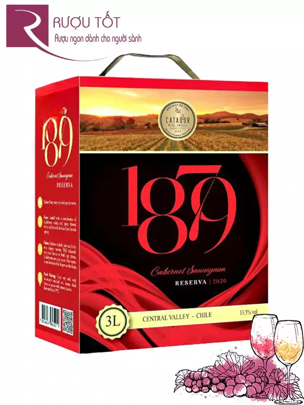 Vang Bịch 1879 Reserva Cabernet Sauvignon