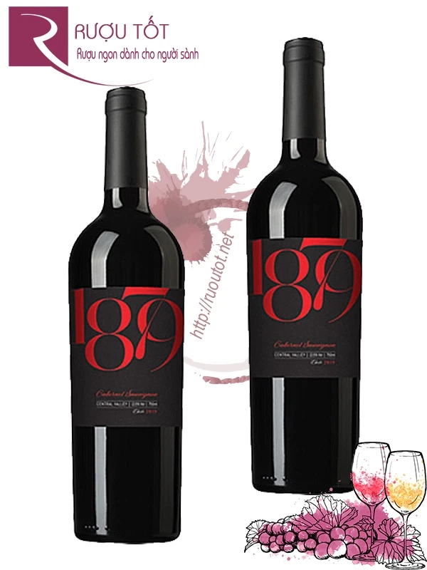 Vang Chile 1879 Reserva Cabernet Sauvignon