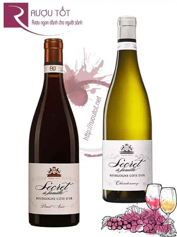 Rượu Albert Bichot Bourgogne Côte d’Or 