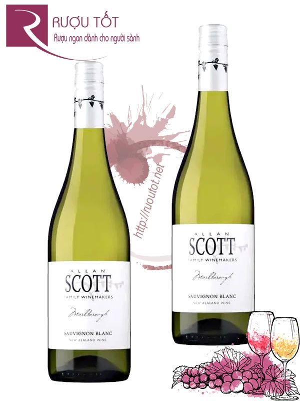 Rượu vang Allan Scott Sauvignon Blanc