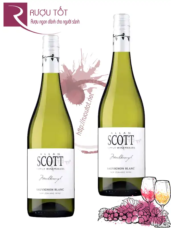 Rượu vang Allan Scott Sauvignon Blanc