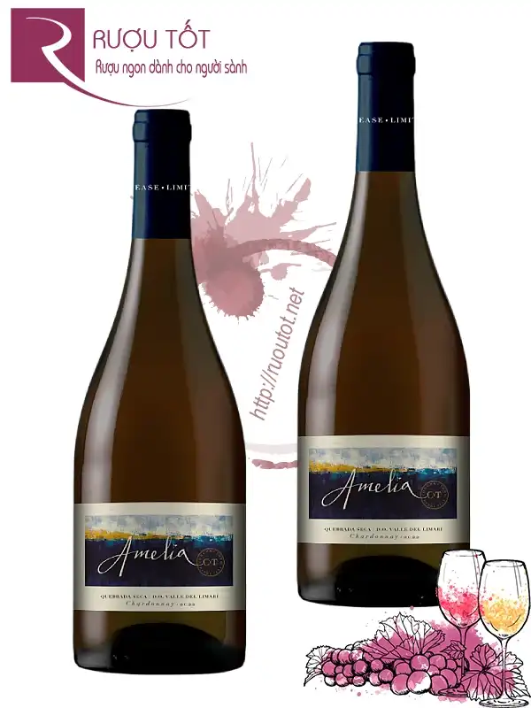 Rượu Amelia Quebrada Seca D.O. Valle Del Limari Chardonnay