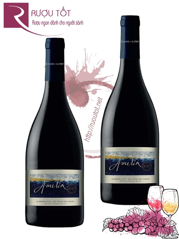 Rượu Amelia Quebrada Seca D.O. Valle Del Limari Pinot Noir