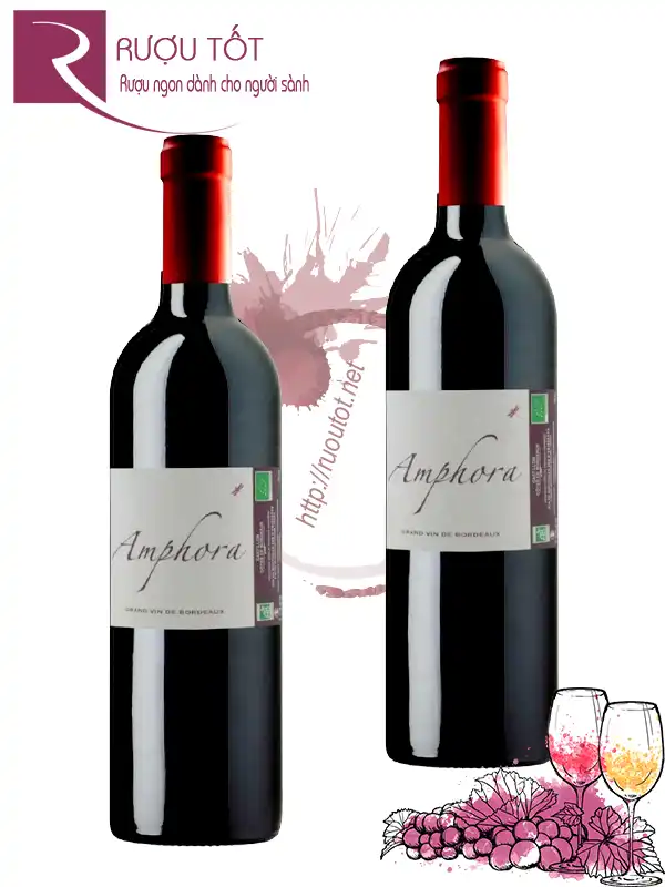 Rượu Vang Amphora Castillon Cotes de Bordeaux