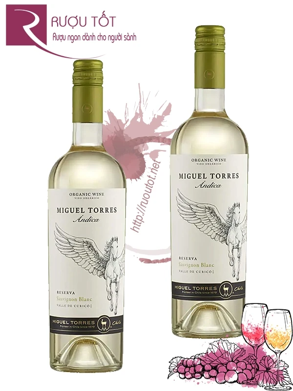 Rượu vang Miguel Torres Andica Reserva Sauvignon Blanc