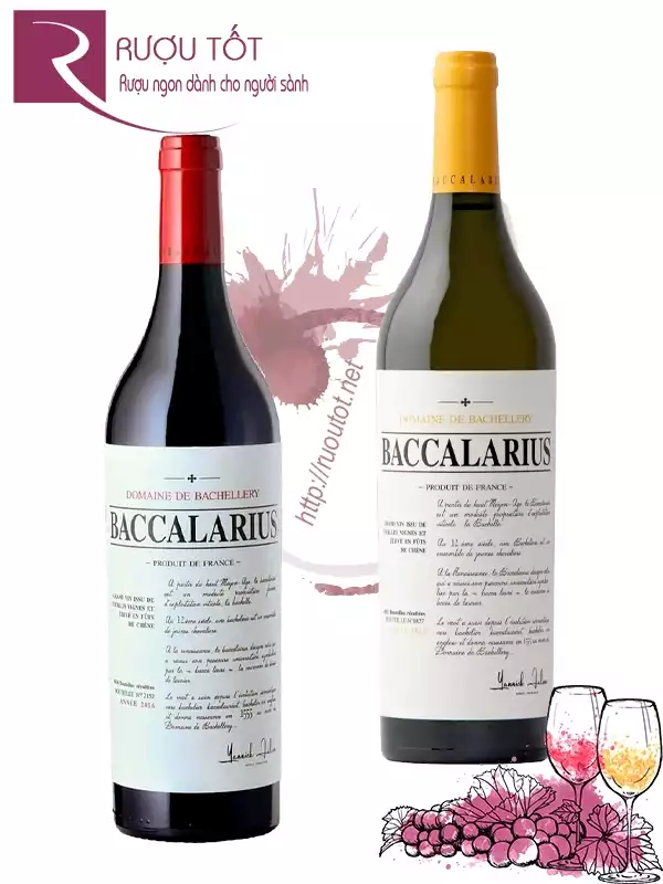 Rượu vang Baccalarius Domaine de Bachellery Red - White