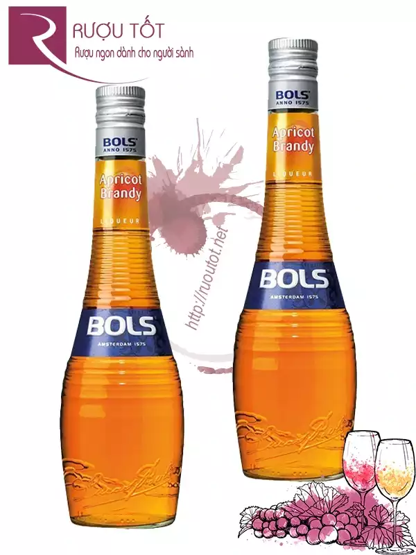 Rượu mùi Bols Apricot Brandy