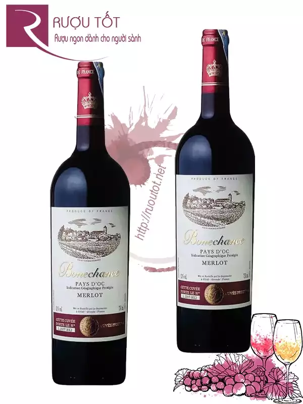 Rượu vang Pháp Bonechance Merlot Bordeaux