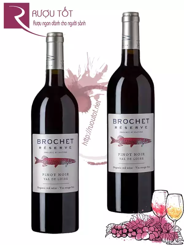 Vang Pháp Brochet Reserve Pinot Noir