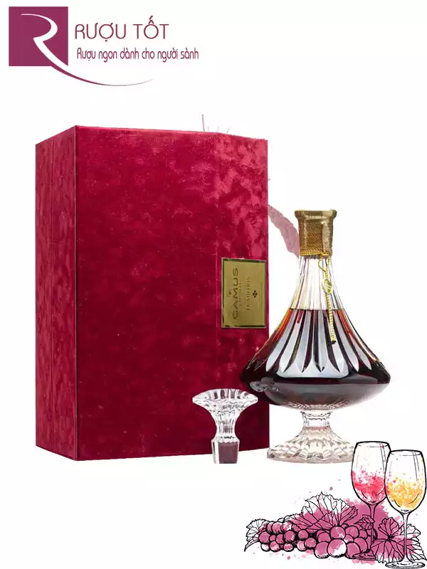 Rượu Camus Tradition Cognac