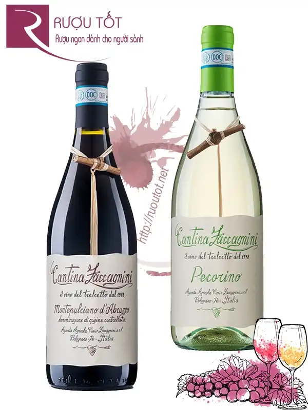 Rượu vang Cantina Zaccagnini Red - White