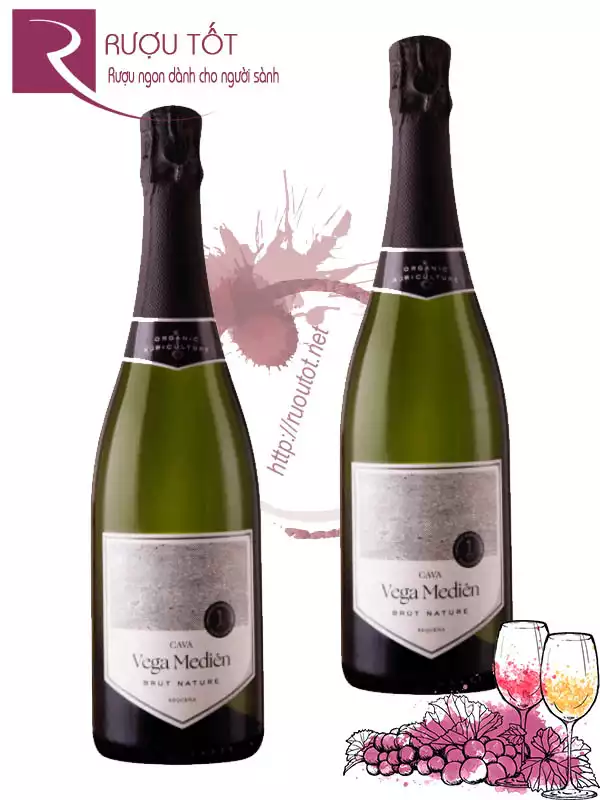 Rượu vang Cava Vega Medien Brut