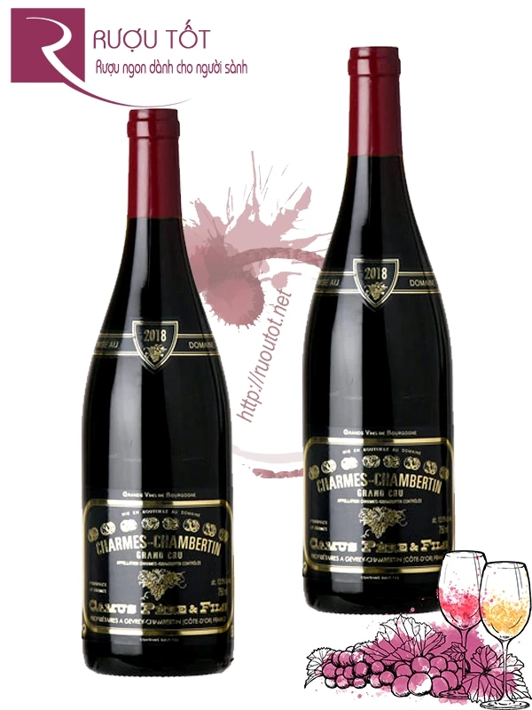 Rượu vang Charmes Chambertin Grand Cru Camus Pere et Fils