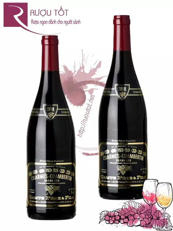 Rượu vang Charmes Chambertin Grand Cru Camus Pere et Fils