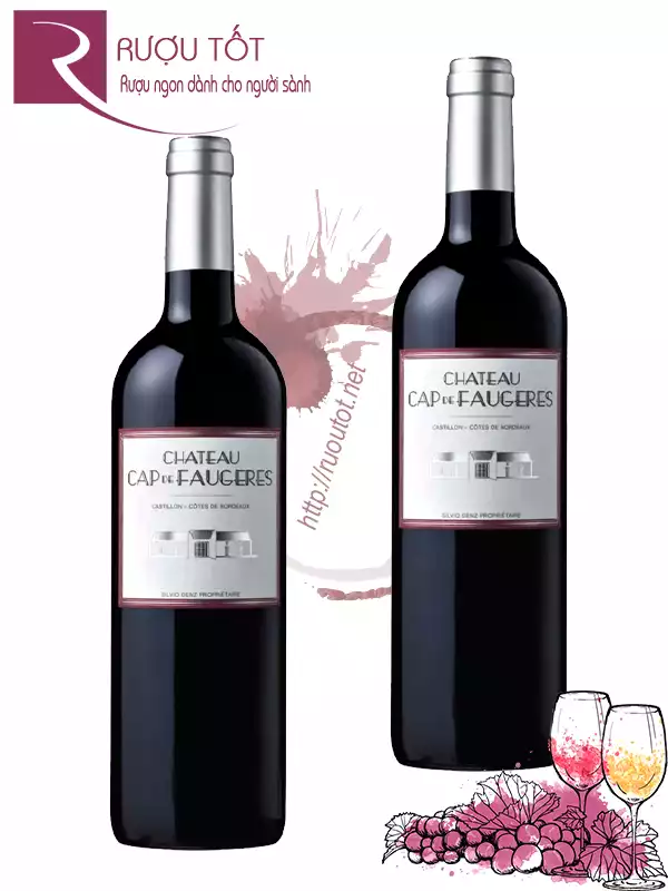 Rượu vang Chateau Cap de Faugeres Cotes de Castillon