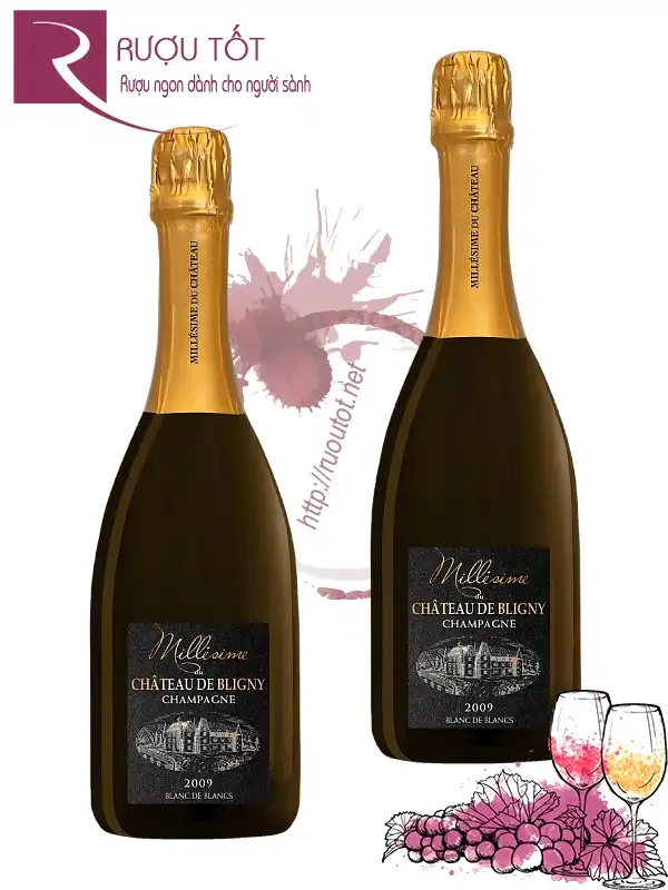 Rượu Chateau De Bligny Brut Millesime 750ml