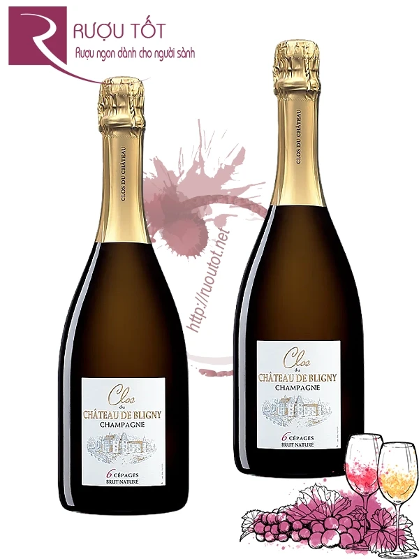 Rượu Chateau De Bligny "Clos Du Chateau" Brut Nature 6 Varietals