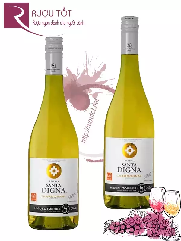 Vang Chile Santa Digna Chardonnay Reserva Miguel Torres