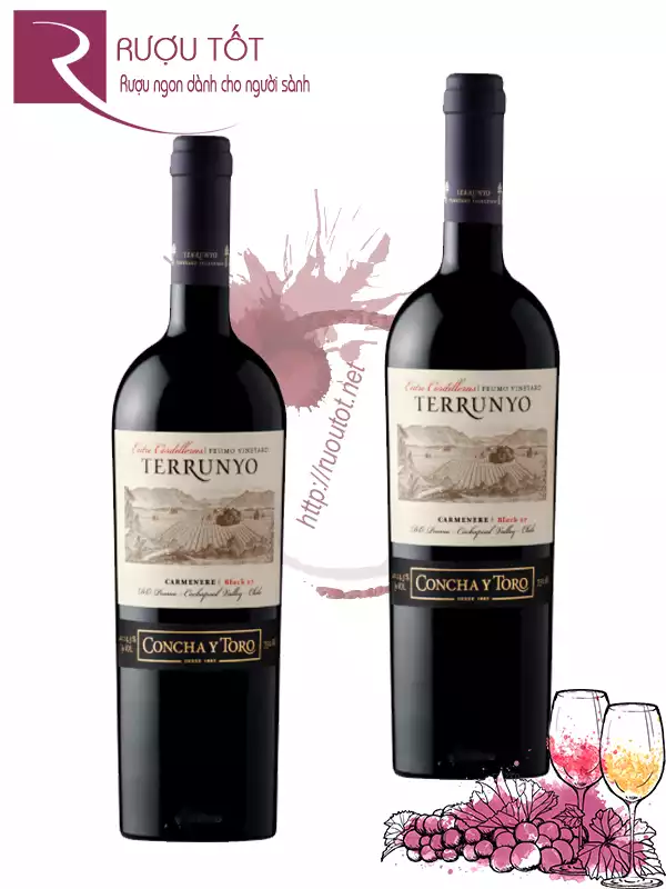 Vang Chile Terrunyo Carmenere Block 27 Concha Y Toro