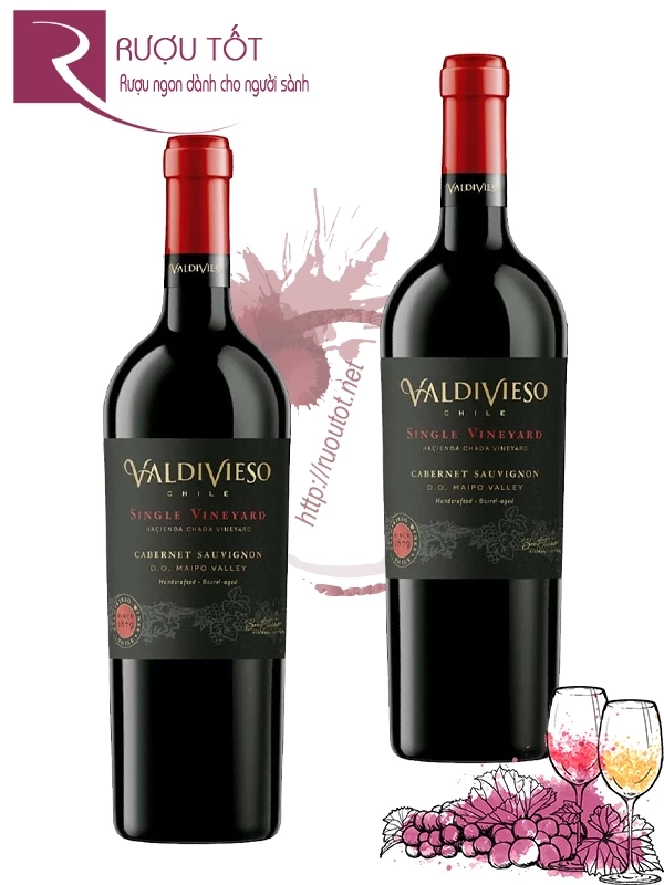 Rượu Vang Valdivieso Single Vineyard Cabernet Sauvignon