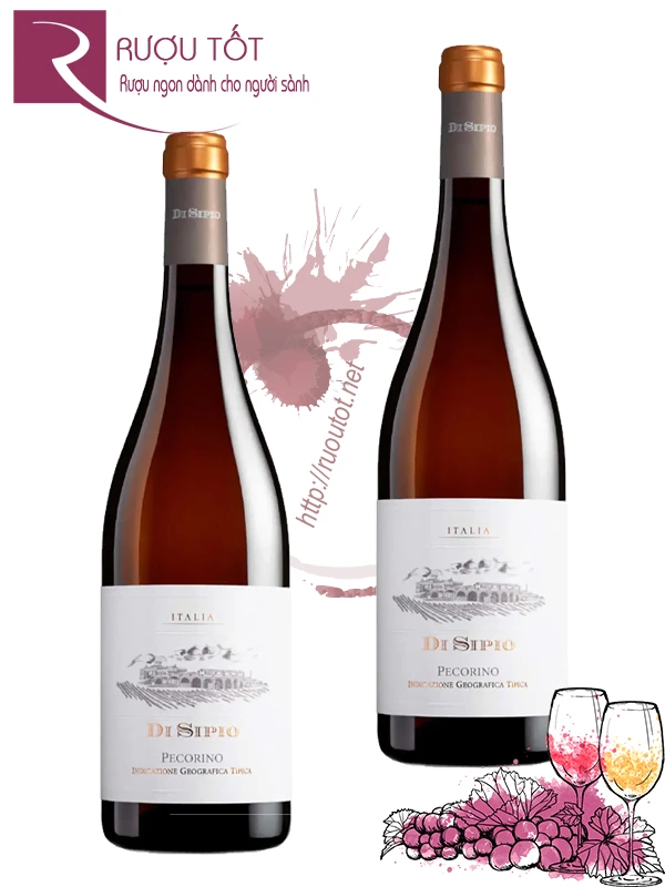 Rượu vang Di Sipio Pecorino Terre di Chieti IGT