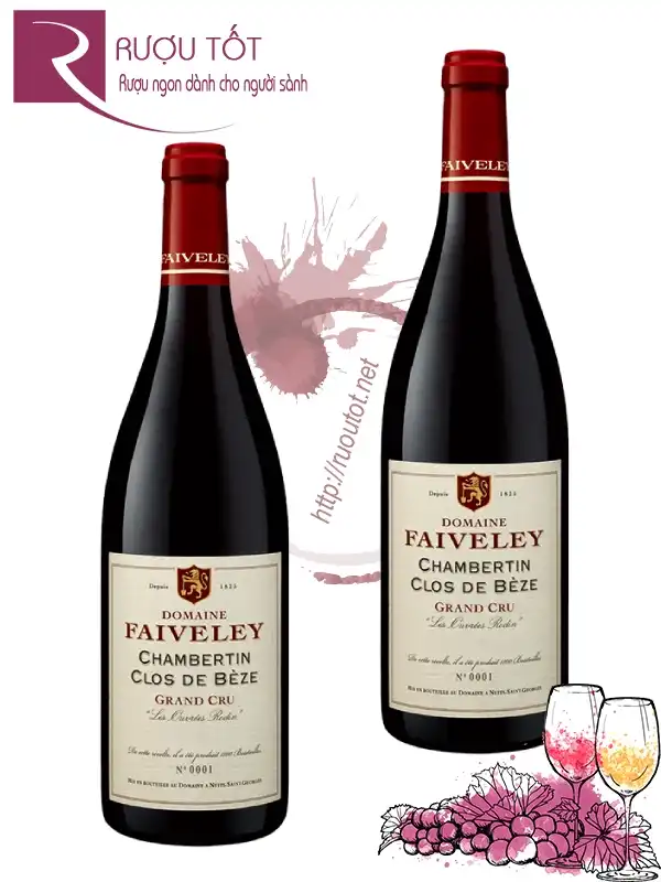 Rượu Domaine Faiveley Chambertin Clos de Beze 