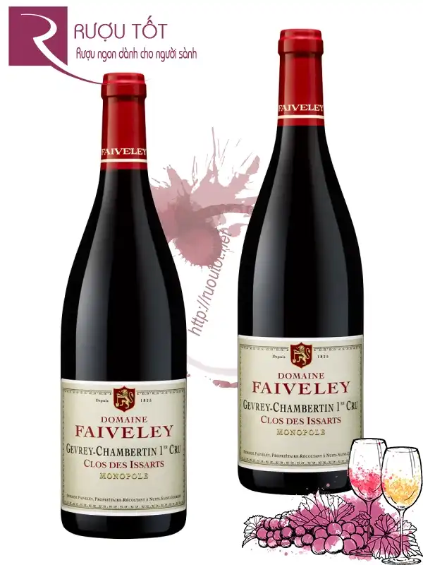 Rượu Domaine Faiveley Gevrey-Chambertin Premier Cru 