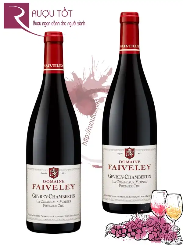 Rượu Domaine Faiveley Gevrey-Chambertin Premier Cru 
