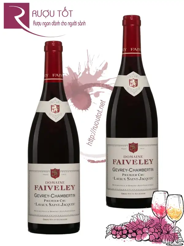 Rượu Domaine Faiveley Gevrey - Chambertin Premier Cru 